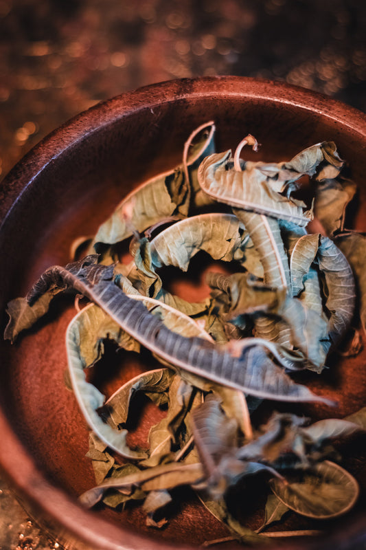 Alweeza: a Moroccan moment of calm